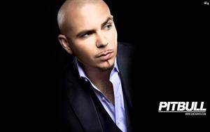 Pitbull